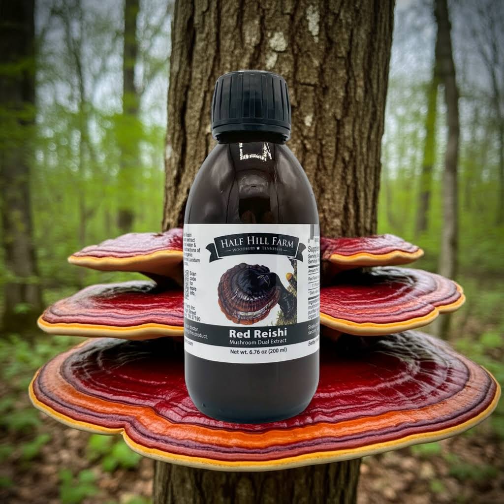 specialtycoffee coffee tea artisancrafted fairtrade mushroomcoffee coffeegifts mushroomextract