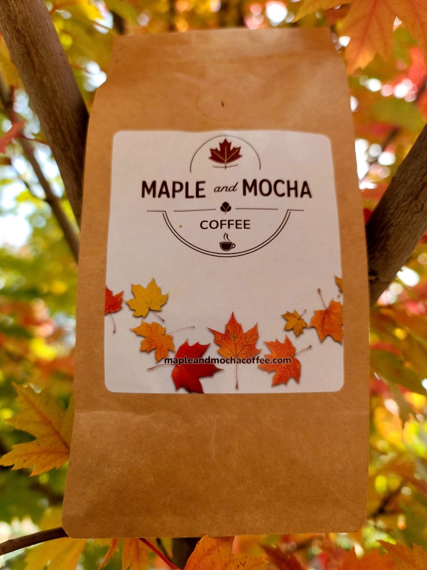 specialtycoffee coffee tea artisancrafted fairtrade mushroomcoffee coffeegifts mushroomextract