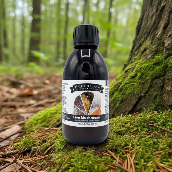 specialtycoffee coffee tea artisancrafted fairtrade mushroomcoffee coffeegifts mushroomextract