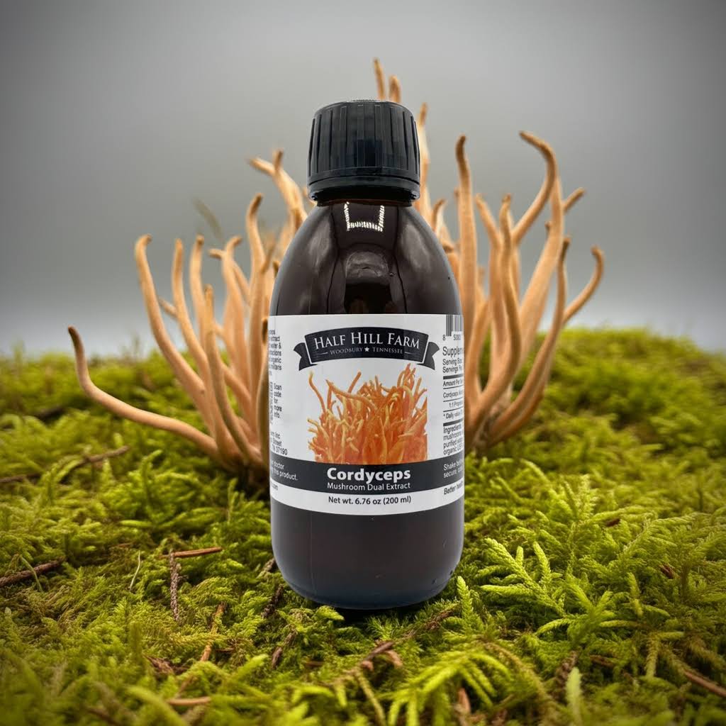 specialtycoffee coffee tea artisancrafted fairtrade mushroomcoffee coffeegifts mushroomextract