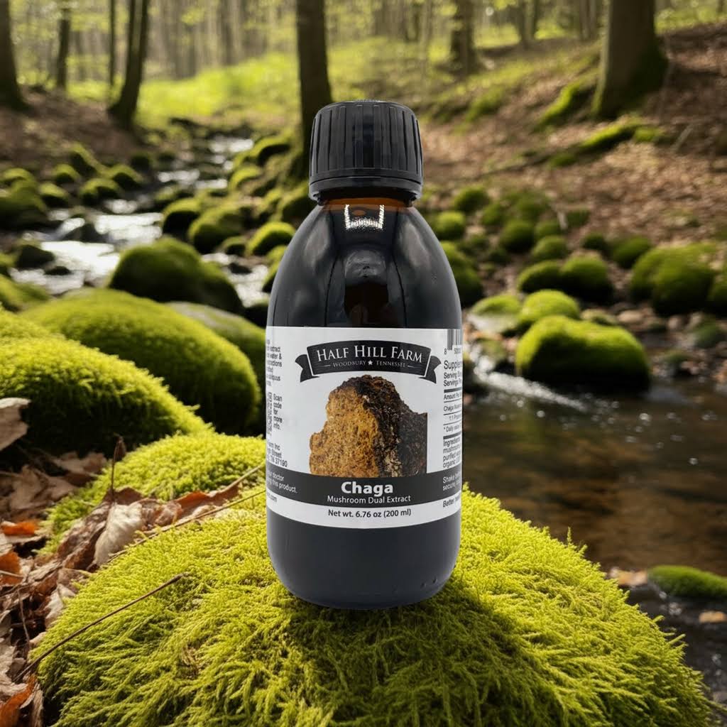 specialtycoffee coffee tea artisancrafted fairtrade mushroomcoffee coffeegifts mushroomextract
