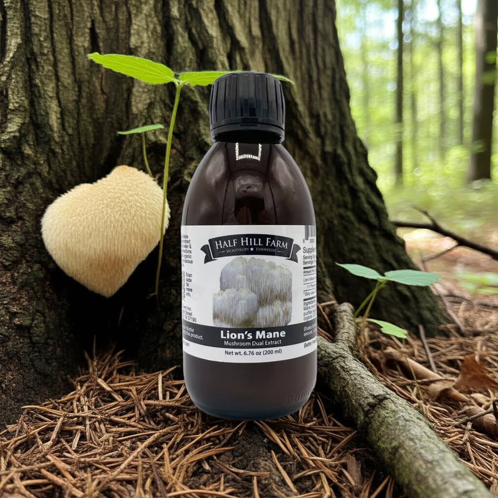specialtycoffee coffee tea artisancrafted fairtrade mushroomcoffee coffeegifts mushroomextract