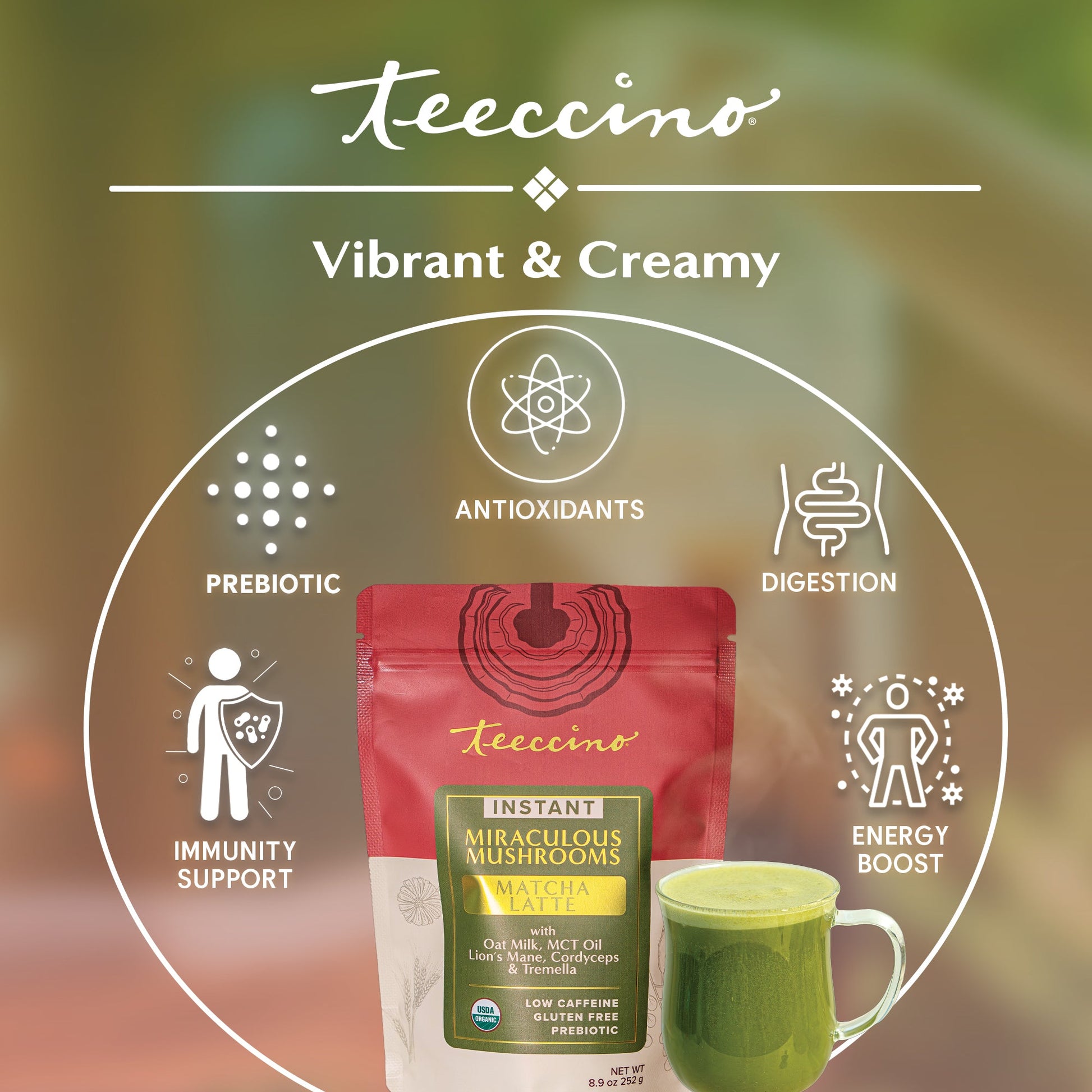 specialtycoffee coffee tea artisancrafted fairtrade mushroomcoffee coffeegifts mushroomextract