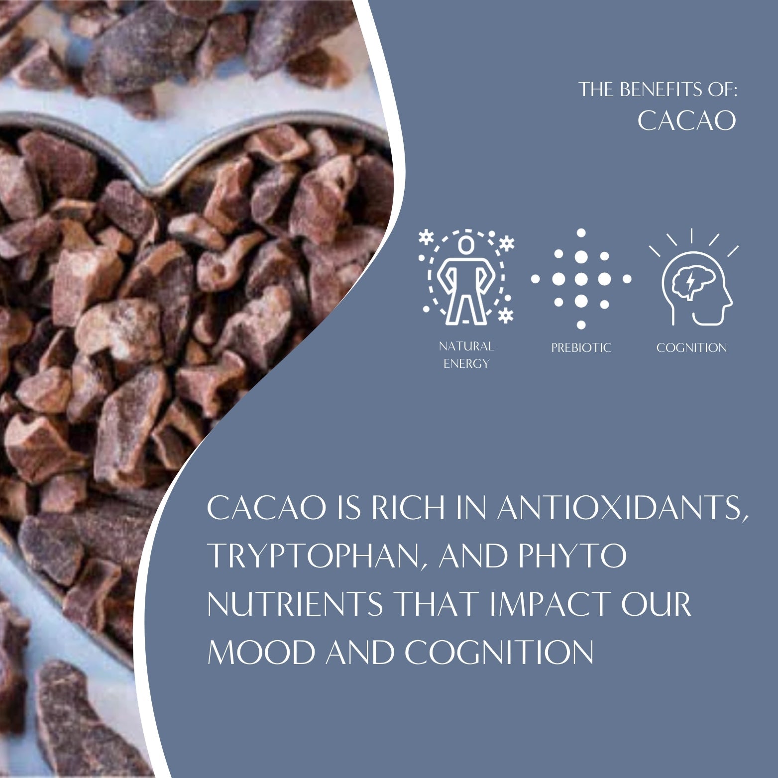 specialtycoffee coffee tea artisancrafted fairtrade mushroomcoffee coffeegifts mushroomextract