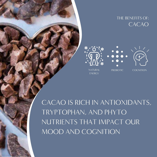 specialtycoffee coffee tea artisancrafted fairtrade mushroomcoffee coffeegifts mushroomextract