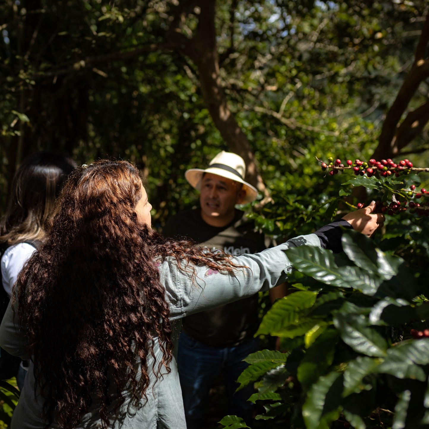 Honduran Catuai Coffee 1.8oz (50g) Sample bag