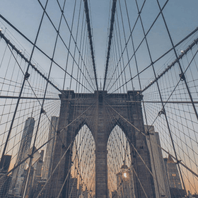 specialtycoffee coffee tea artisancrafted fairtrade mushroomcoffee coffeegifts mushroomextract