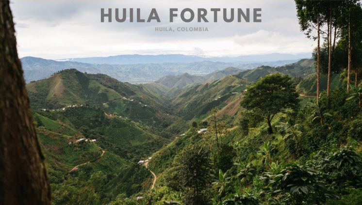 Kolumbien Huila Fortune