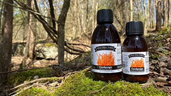 specialtycoffee coffee tea artisancrafted fairtrade mushroomcoffee coffeegifts mushroomextract