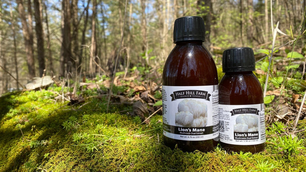 specialtycoffee coffee tea artisancrafted fairtrade mushroomcoffee coffeegifts mushroomextract