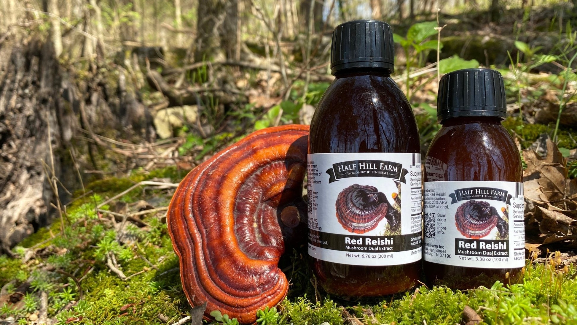 specialtycoffee coffee tea artisancrafted fairtrade mushroomcoffee coffeegifts mushroomextract