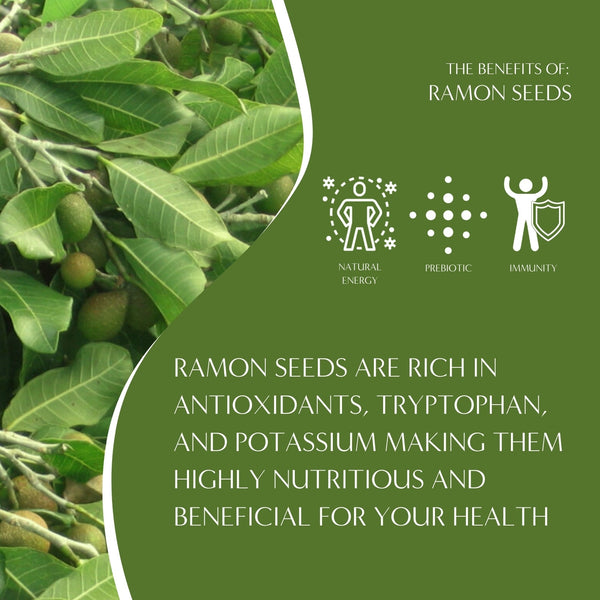 specialtycoffee coffee tea artisancrafted fairtrade mushroomcoffee coffeegifts mushroomextract