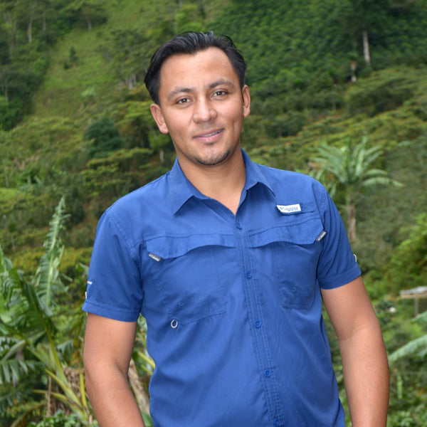 specialtycoffee coffee tea artisancrafted fairtrade mushroomcoffee coffeegifts mushroomextract