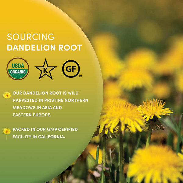 specialtycoffee coffee tea artisancrafted fairtrade mushroomcoffee coffeegifts mushroomextract