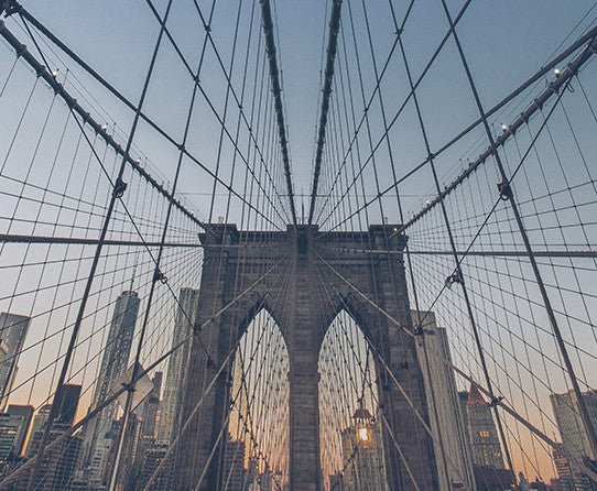 specialtycoffee coffee tea artisancrafted fairtrade mushroomcoffee coffeegifts mushroomextract