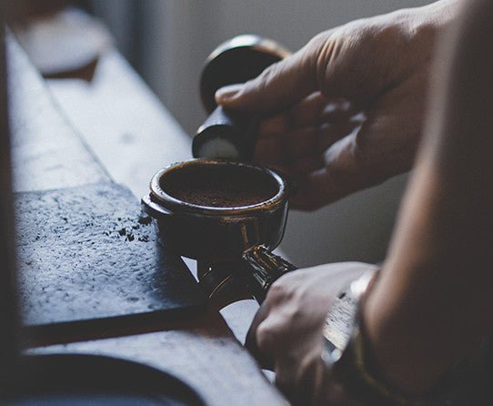 specialtycoffee coffee tea artisancrafted fairtrade mushroomcoffee coffeegifts mushroomextract