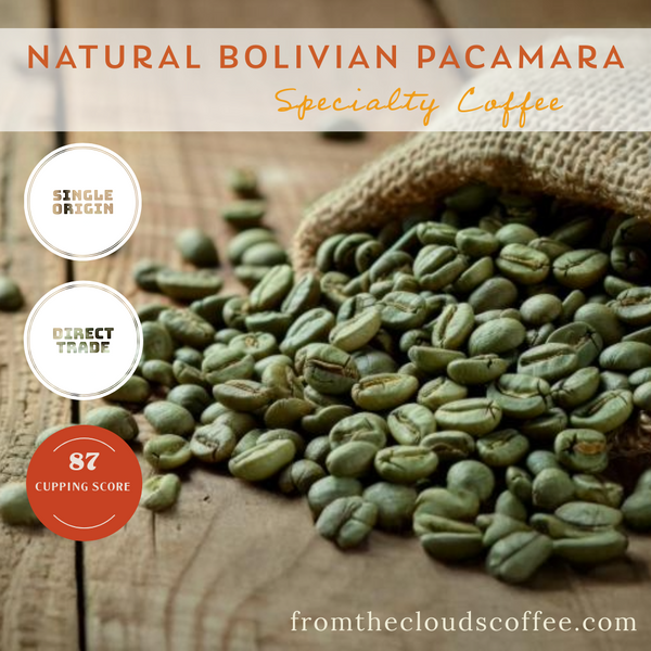 GREEN COFFEE BEANS - Natural Bolivian Pacamara - 5 LBS