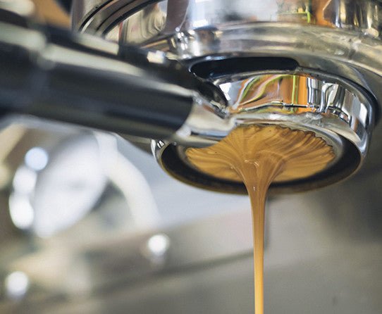 specialtycoffee coffee tea artisancrafted fairtrade mushroomcoffee coffeegifts mushroomextract