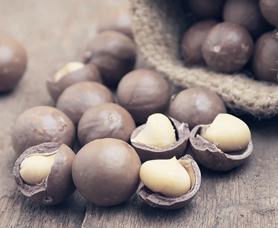 specialtycoffee coffee tea artisancrafted fairtrade mushroomcoffee coffeegifts mushroomextract