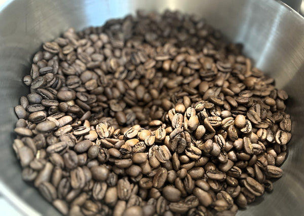 Natural Bolivian Pacamara - Medium Roast - Whole Bean
